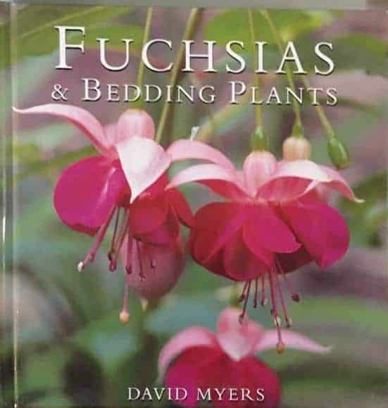 David Myers : Fuchsias & Bedding plants
