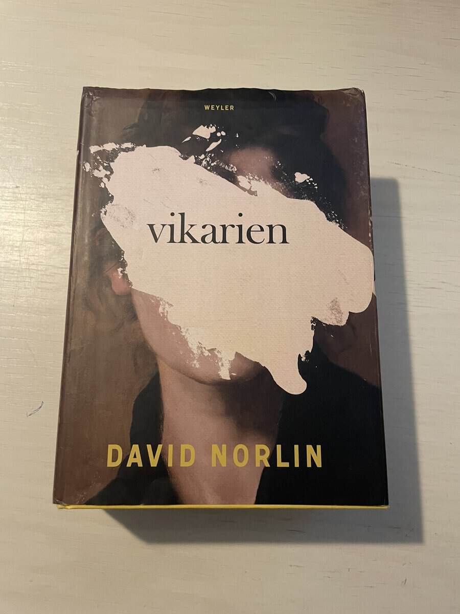 David Norlin : Vikarien