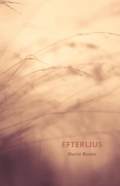 David Rosén : Efterljus