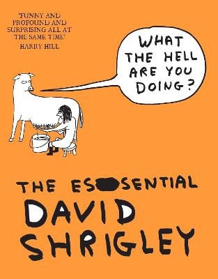 David Shrigley : What the hell are you doing?