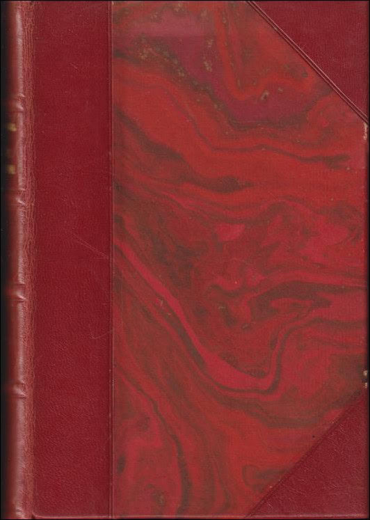 David Sprengel : De nya poeterna (80-talet)