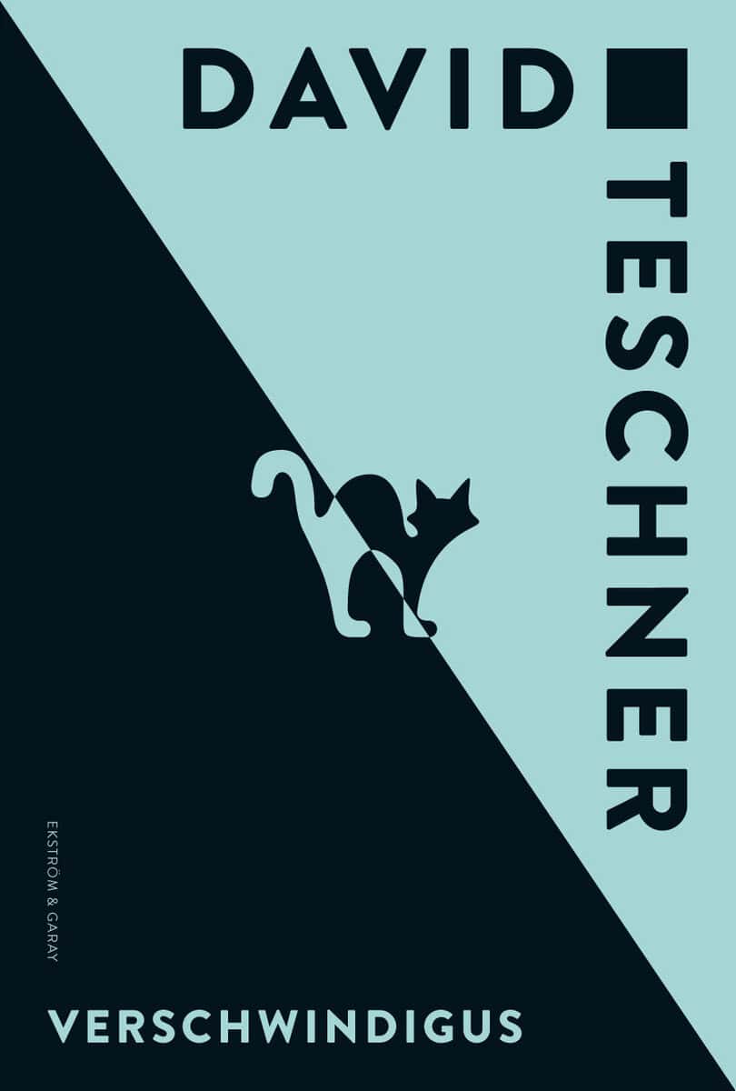 David Teschner : Verschwindigus