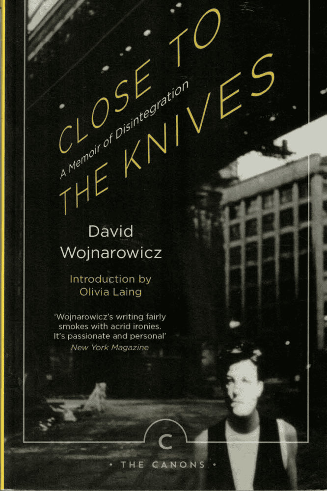 David Wojnarowicz : Close to the Knives