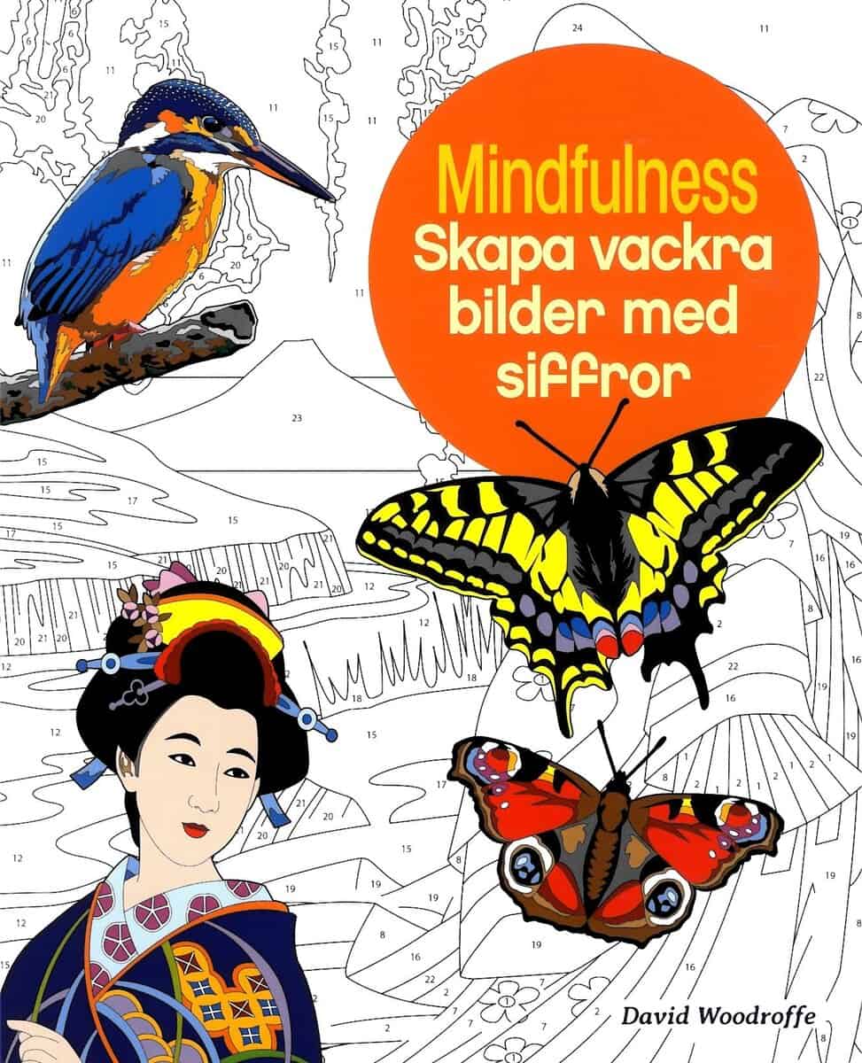 David Woodroffe : Mindfulness