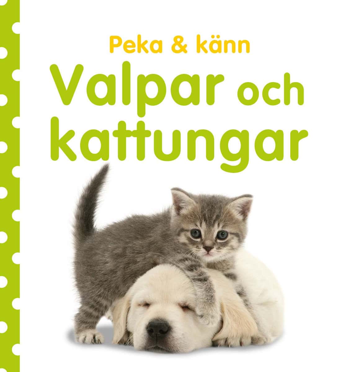 Dawn Sirett : Peka & känn. Valpar och kattungar