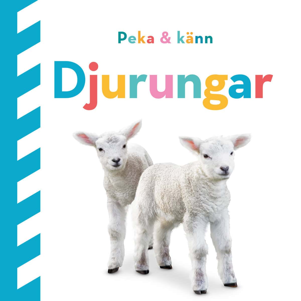 Dawn Sirett : Peka och känn. Djurungar