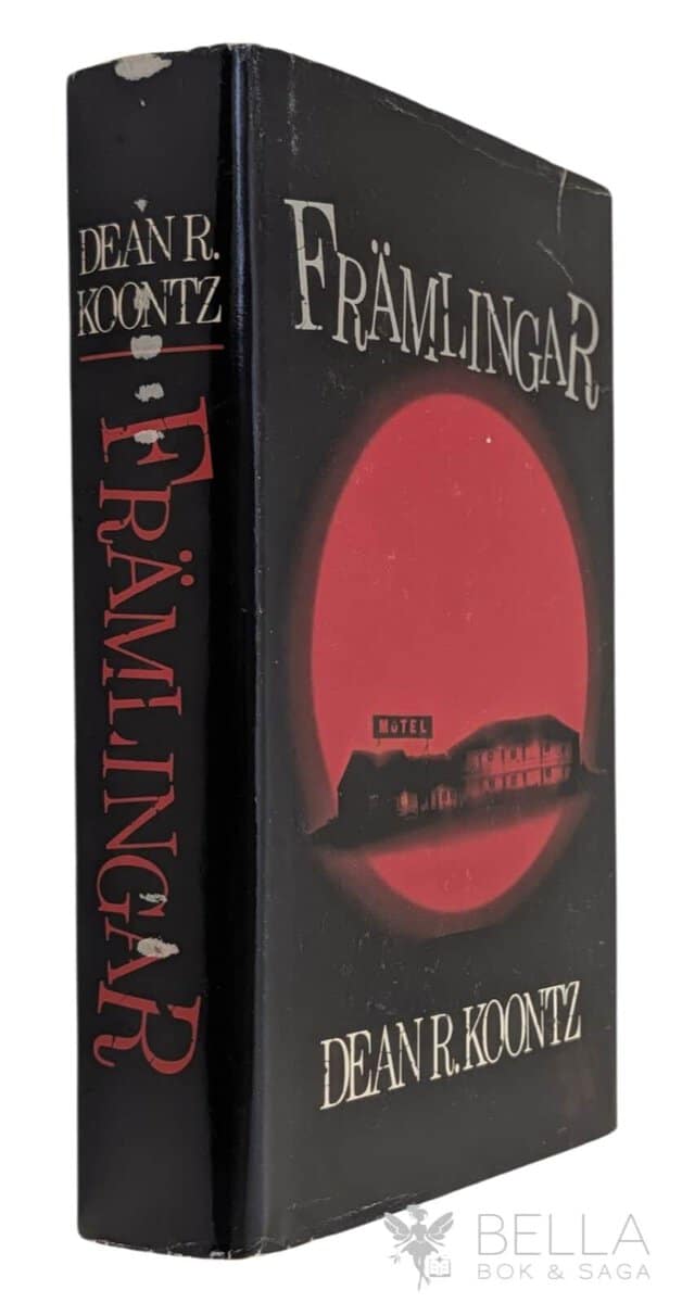 Dean R. Koontz : Främlingar