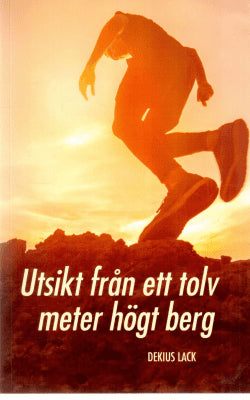Dekius Lack : Utsikt från ett tolv meter högt berg