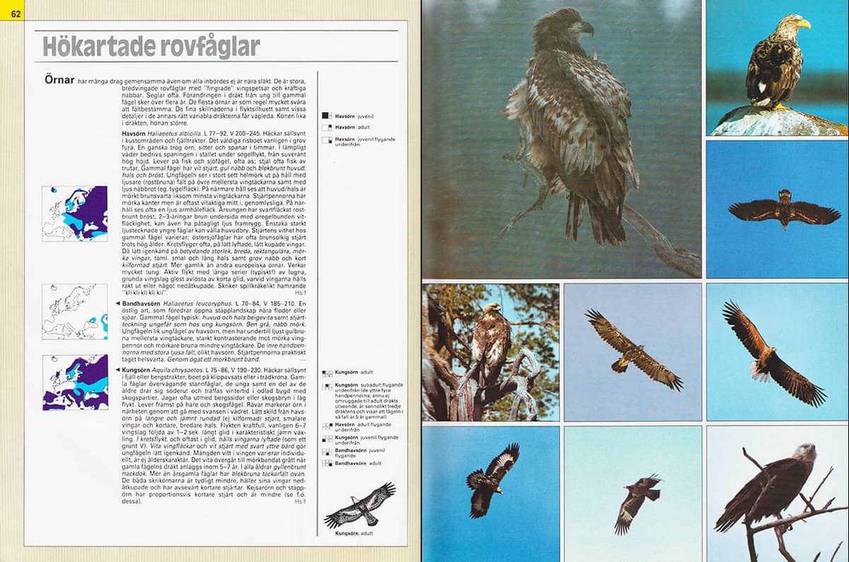 Delin, Håkan ; Svensson, Lars : Färgfotoguiden över alla Europas fåglar