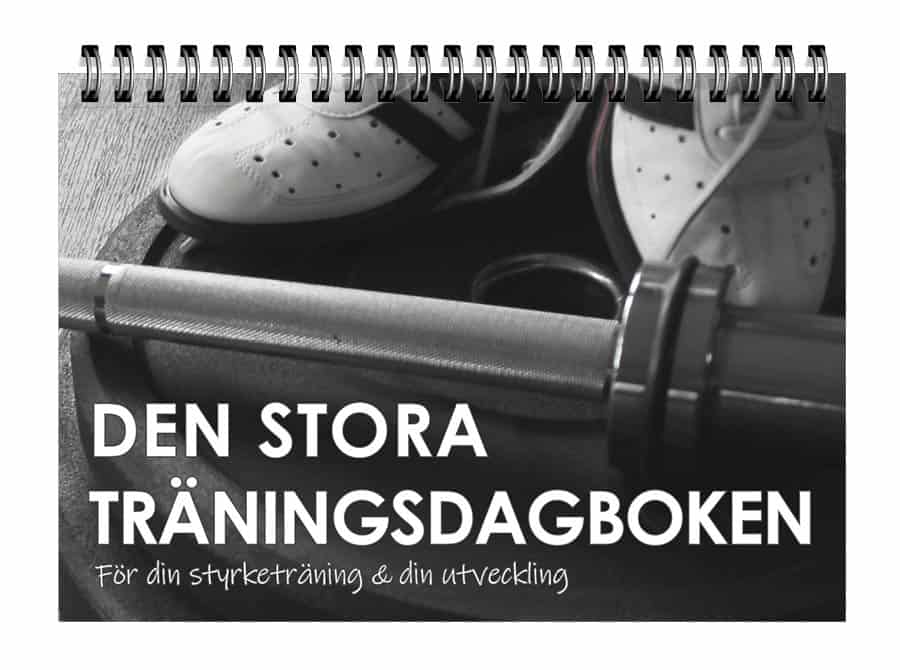 Den stora träningsdagboken