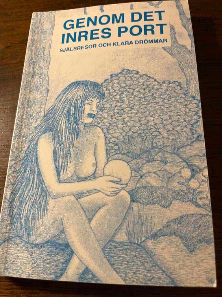 Dénis Lindbohm : Genom det inres port