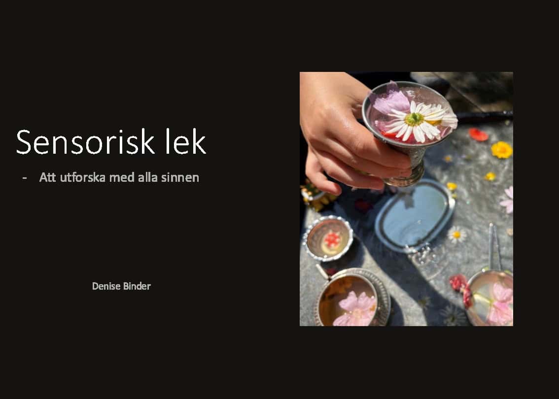 Denise Binder : Sensorisk lek : att utforska med alla sinnen
