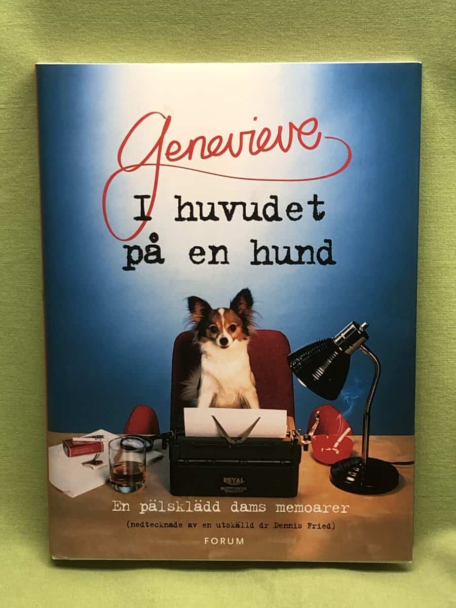 Dennis Fried : I huvudet på en hund