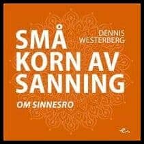 Dennis Westerberg : Små korn av sanning