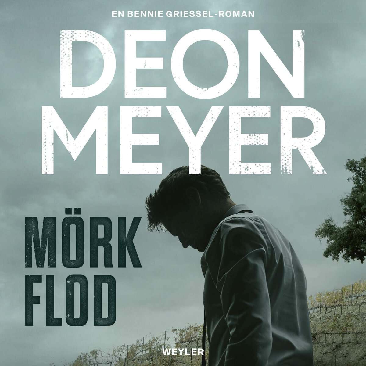 Deon Meyer : Mörk flod