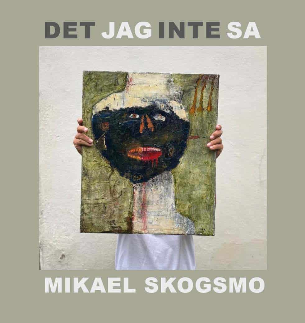 Det jag inte sa