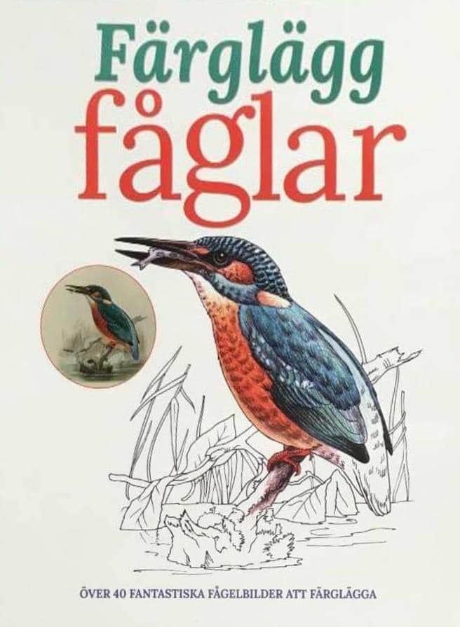 Diana Wowles : Färglägg fåglar