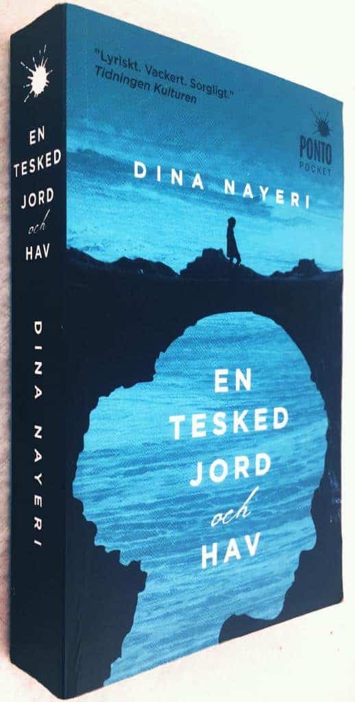 Dina Nayeri : En tesked jord och hav
