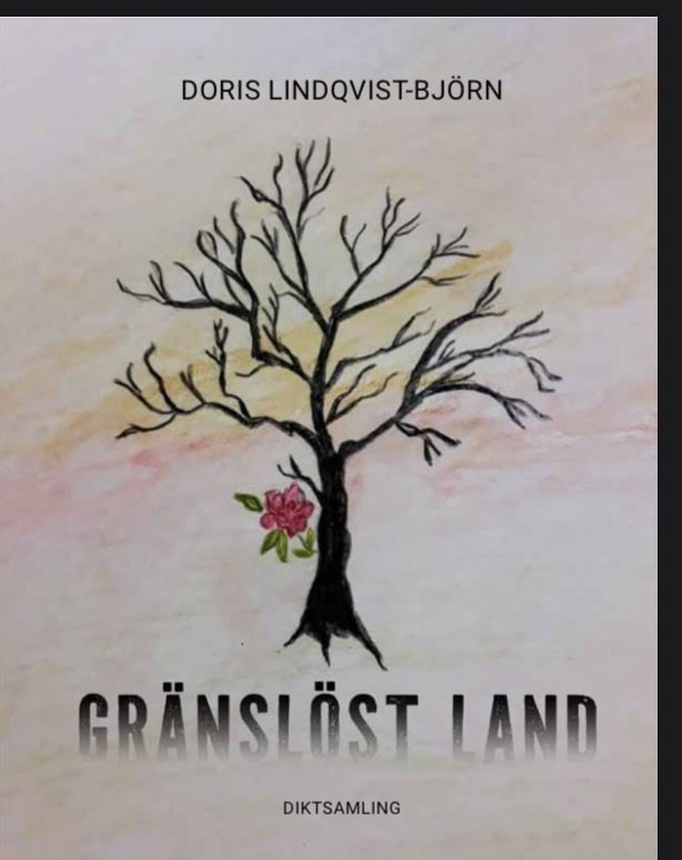 Doris Lindqvist-Björn : Gränslöst land