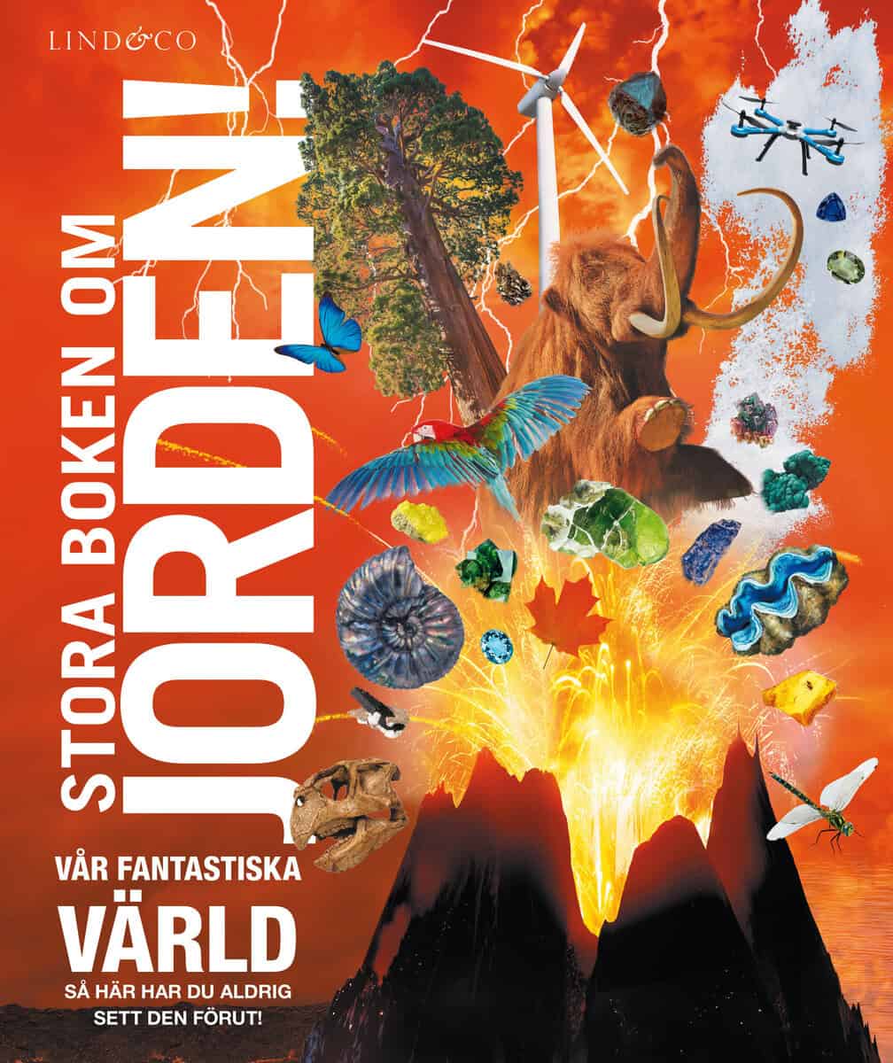 Dorling Kindersley : Stora boken om jorden