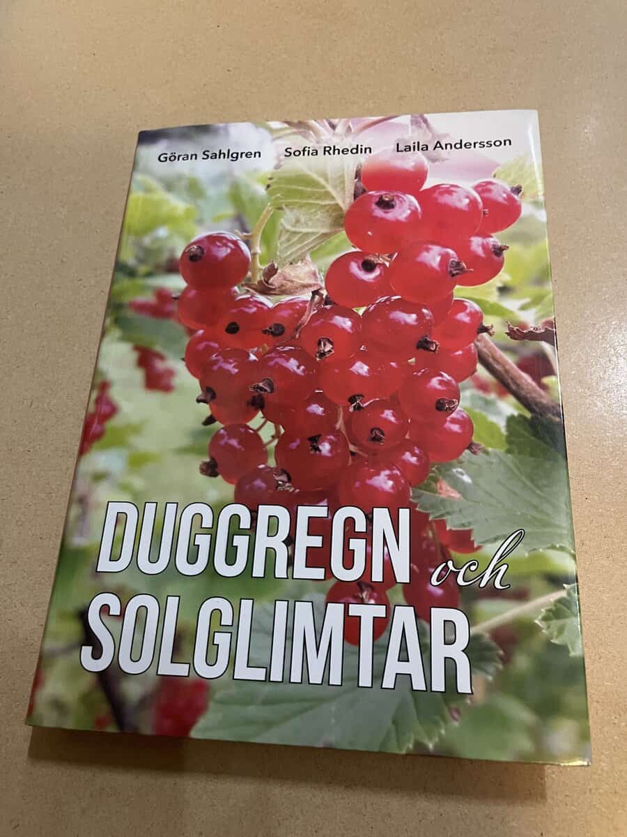 Duggregn och solglimtar