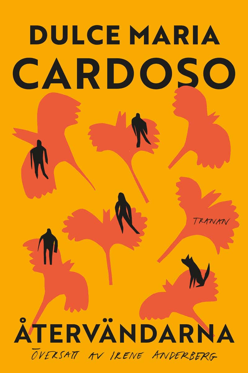 Dulce Maria Cardoso : Återvändarna