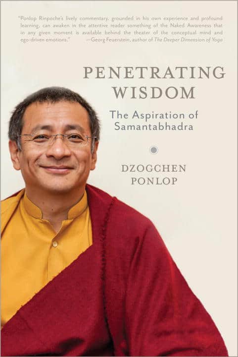 Dzogchen Ponlop : Penetrating wisdom