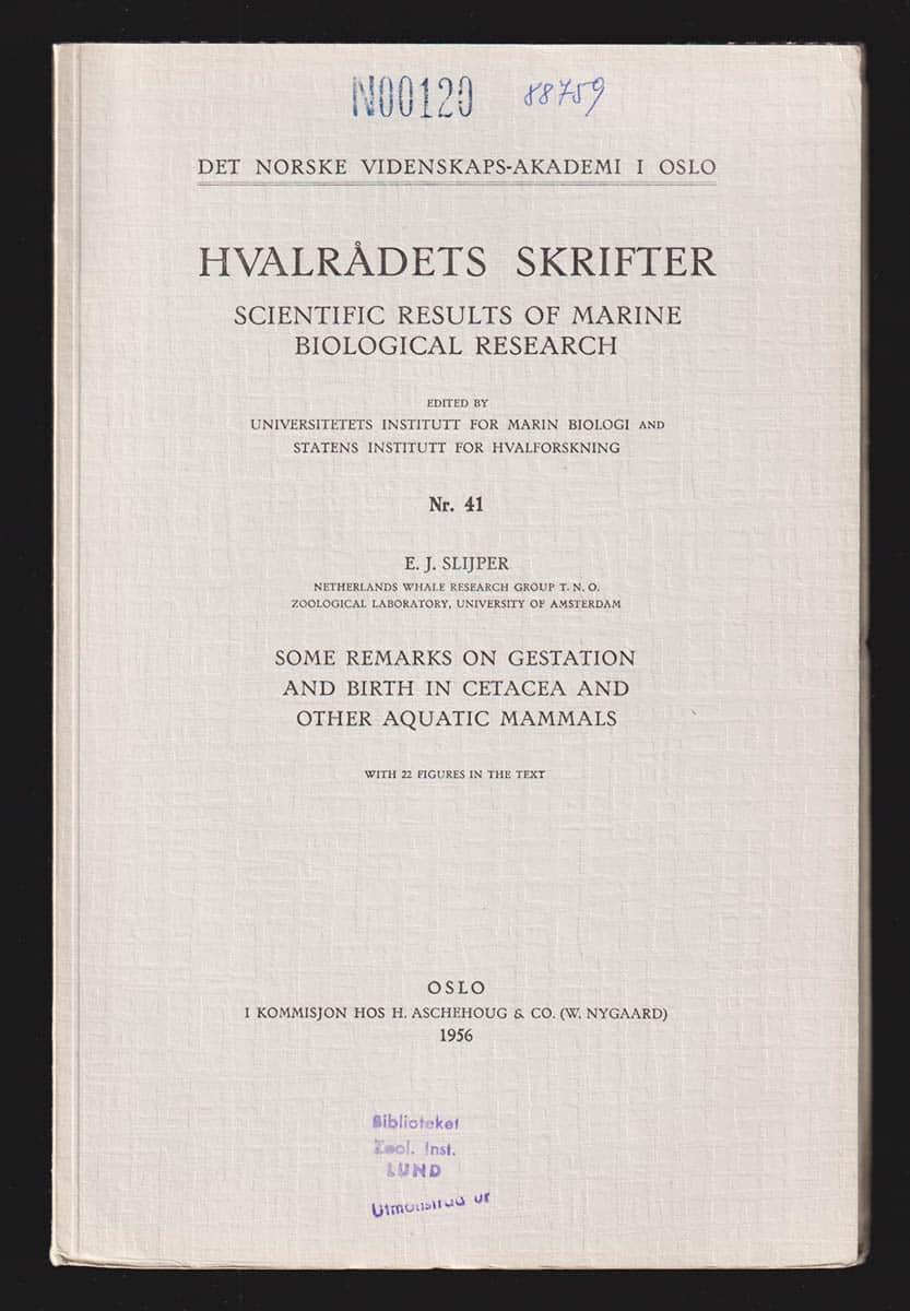 E. J. Slijper : Some remarks on gestation and birth in cetacea and other aquatic mammals. With 22 Figures in the Text