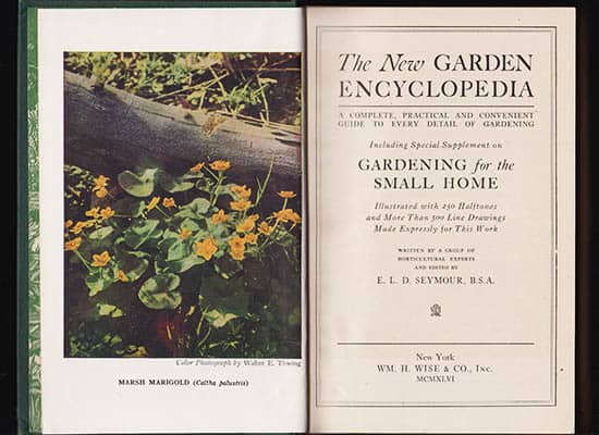 E. L. D. Seymour : The New Garden Encyclopedia. A Complete, Practical and Convenient Guide to Every Detail of Gardening