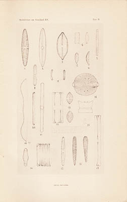 E Østrup : Kyst-Diatoméer fra Grønland
