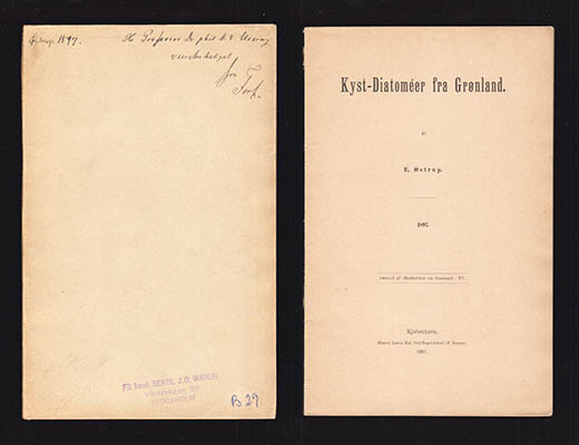E Østrup : Kyst-Diatoméer fra Grønland