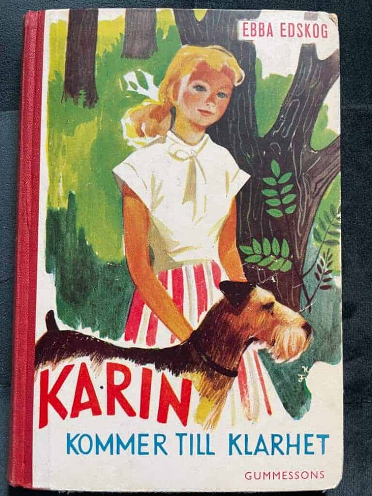 Ebba Edskog : Karin kommer till klarhet