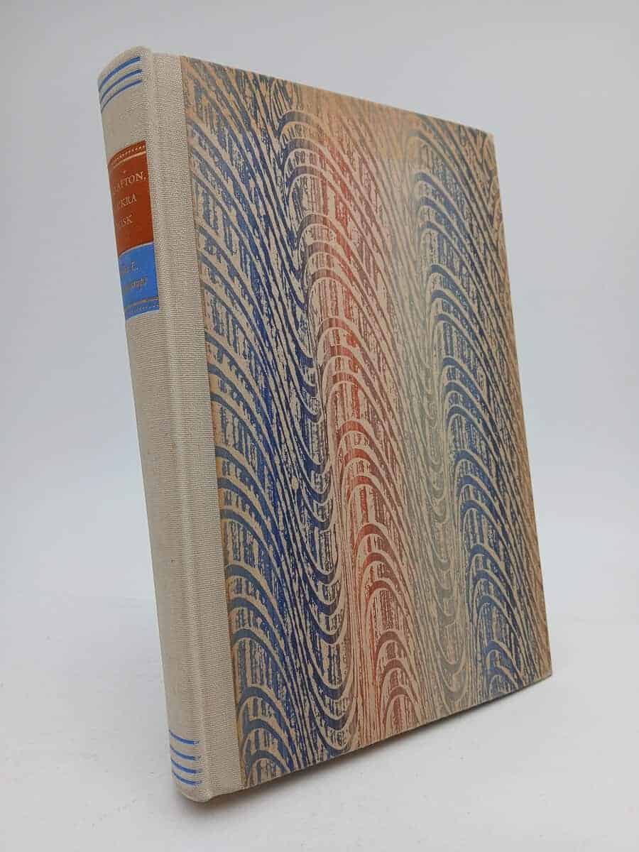 Ebba L. Lewenhaupt : God afton, vackra mask