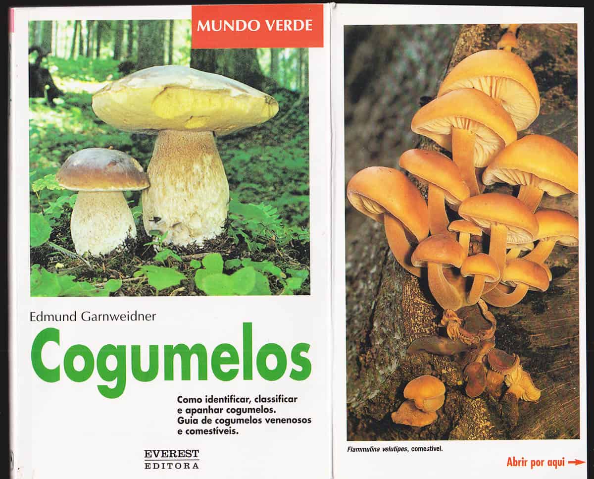 Edmund Garnweidner : Cogumelos (portugisisk svampbok)
