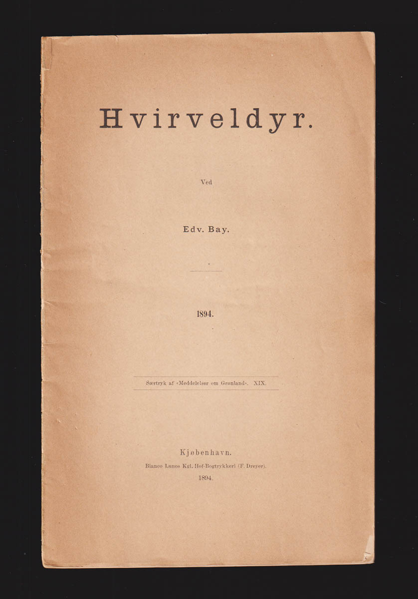 Edvard Bay : Hvirveldyr. Pattedyr og fugle