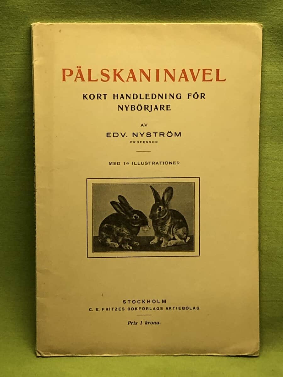 Edvard Nyström : Pälskaninavel - kort handledning för nybörjare