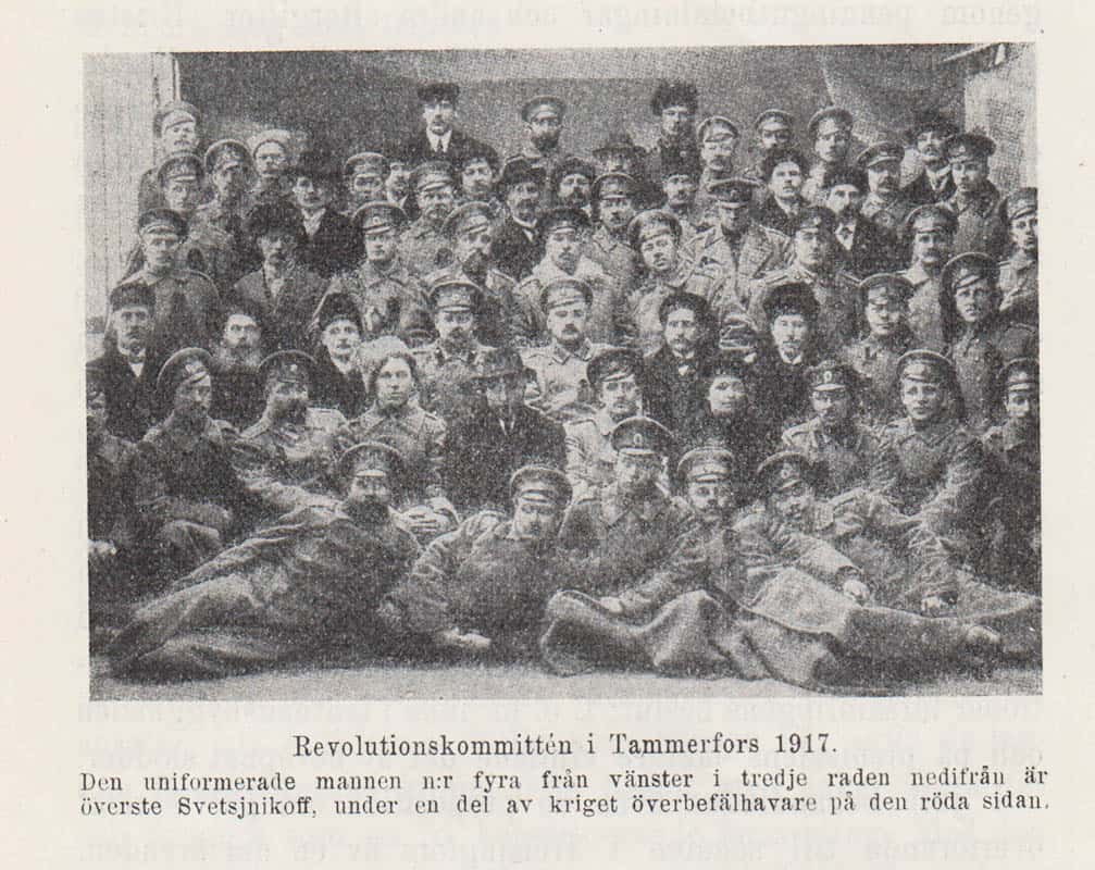 Edvard Thermænius : Finlands frihetskamp 1914-1919