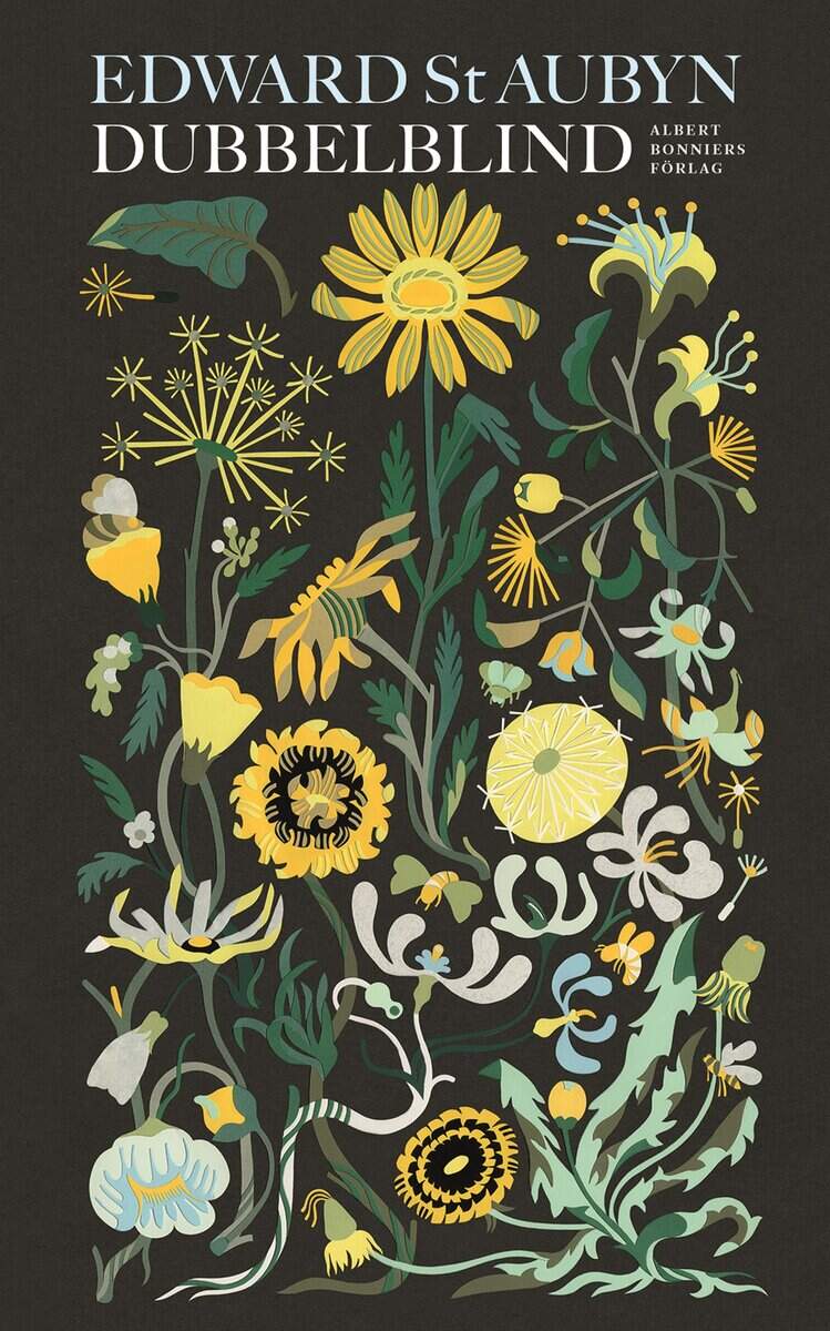 Edward St Aubyn : Dubbelblind
