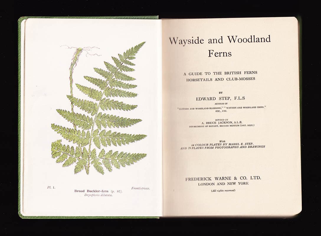 Edward Step : Wayside And Woodland Ferns. A Pocket Guide To The British Ferns, Horsetails & Club Mosses. By Edward Step. Revised by A. Bruce Jackson