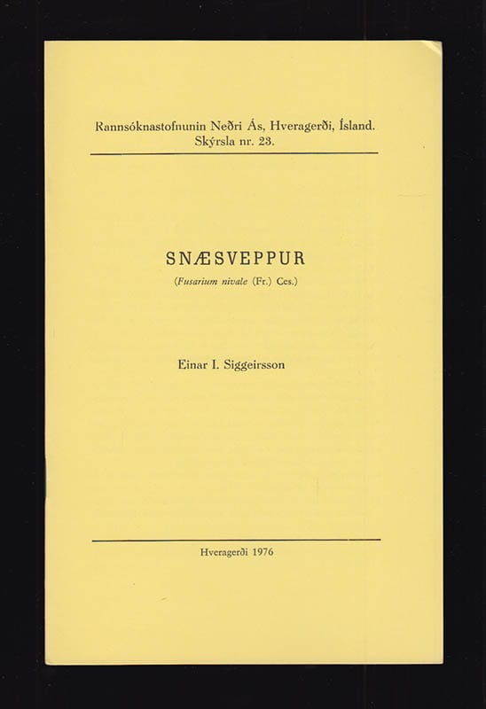 Einar I Siggeirsson : Snæsveppur (Fusarium nivale (Fr.) ces.)