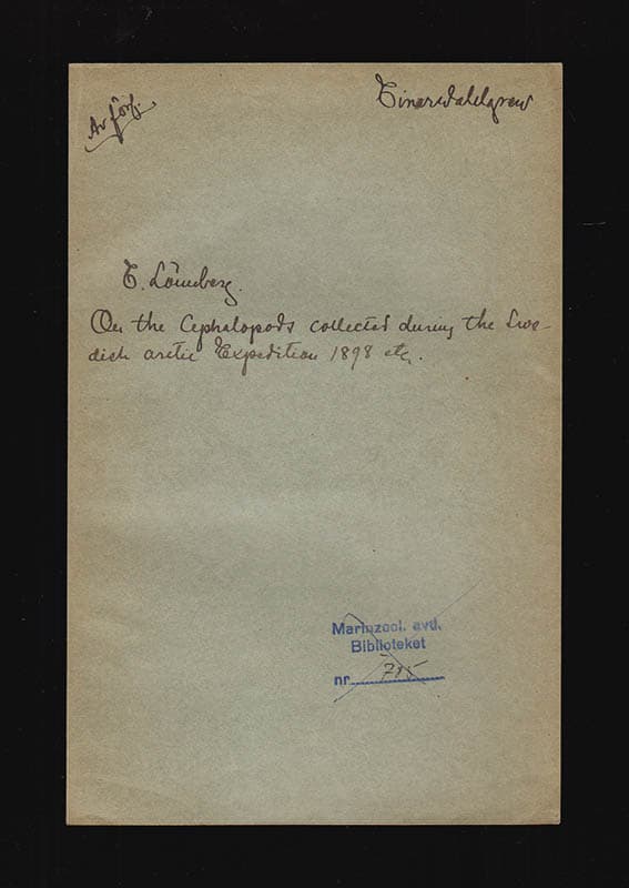 Einar Lönnberg : On the Cephalopods collected during the Swedish Arctic Expedition 1898 under the Direction of Professor A. G. Nathorst