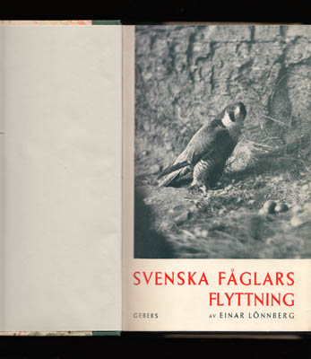 Einar Lönnberg : Svenska fåglars flyttning