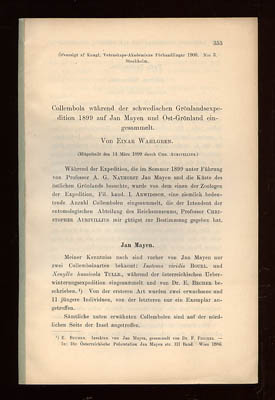 Einar Wahlgren : Collembola während der schwedischen Grönlandsexpedition 1899 auf Jan Mayen und Ost-Grönland eingesammelt