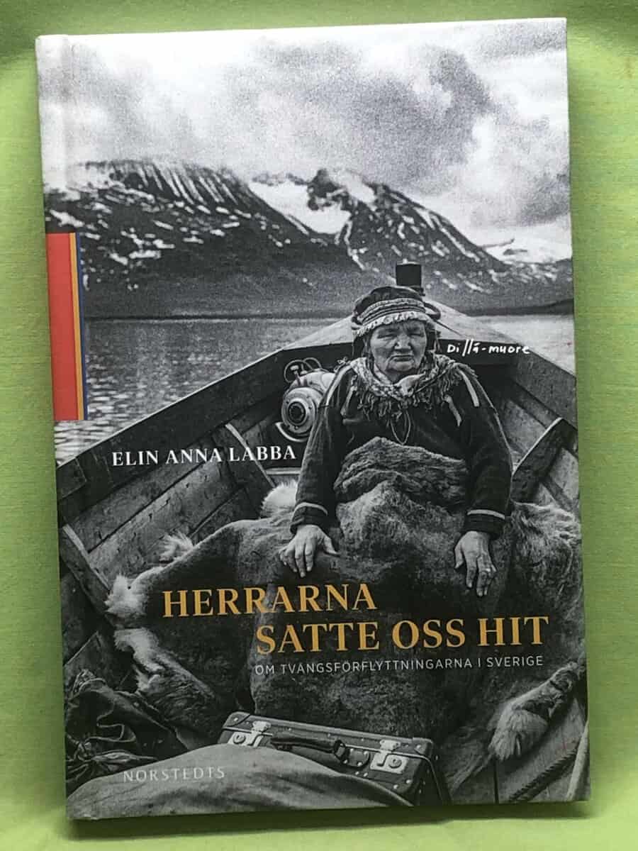 Elin Anna Labba : Herrarna satte oss hit