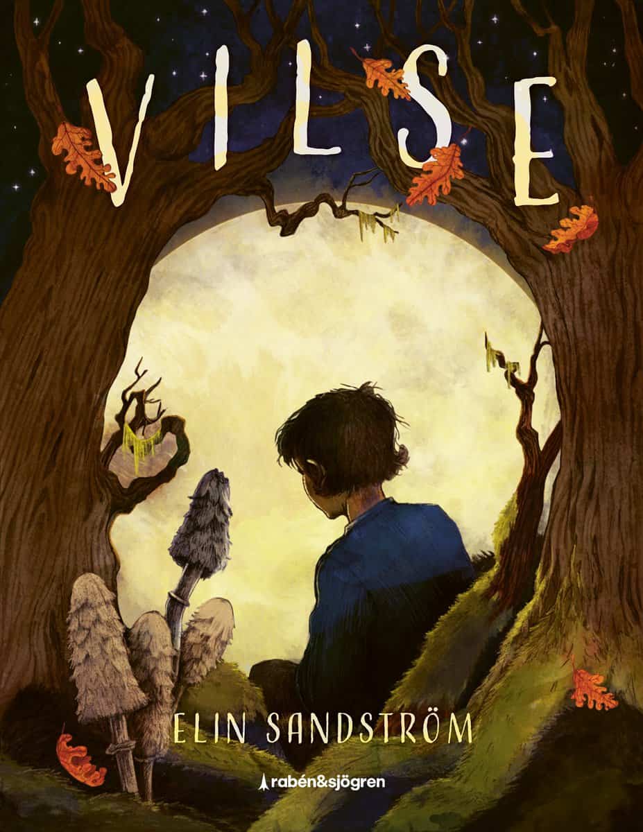 Elin Sandström : Vilse