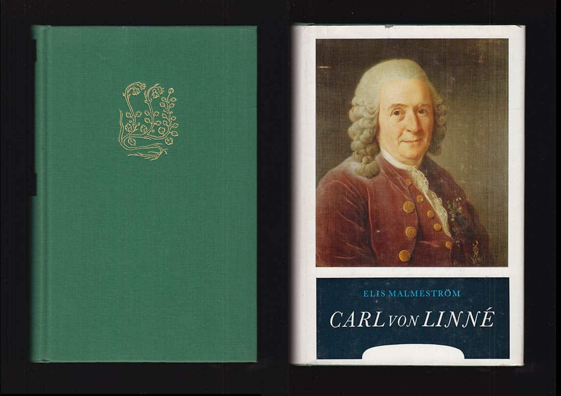 Elis Malmeström : Carl von Linné