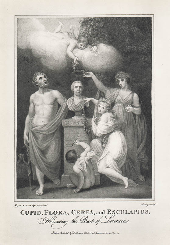 Elis Malmeström : Linnæi väg till vetenskaplig klarhet