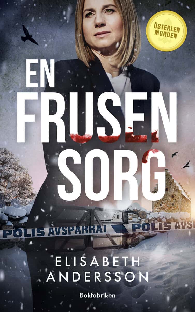 Elisabeth Andersson : En frusen sorg