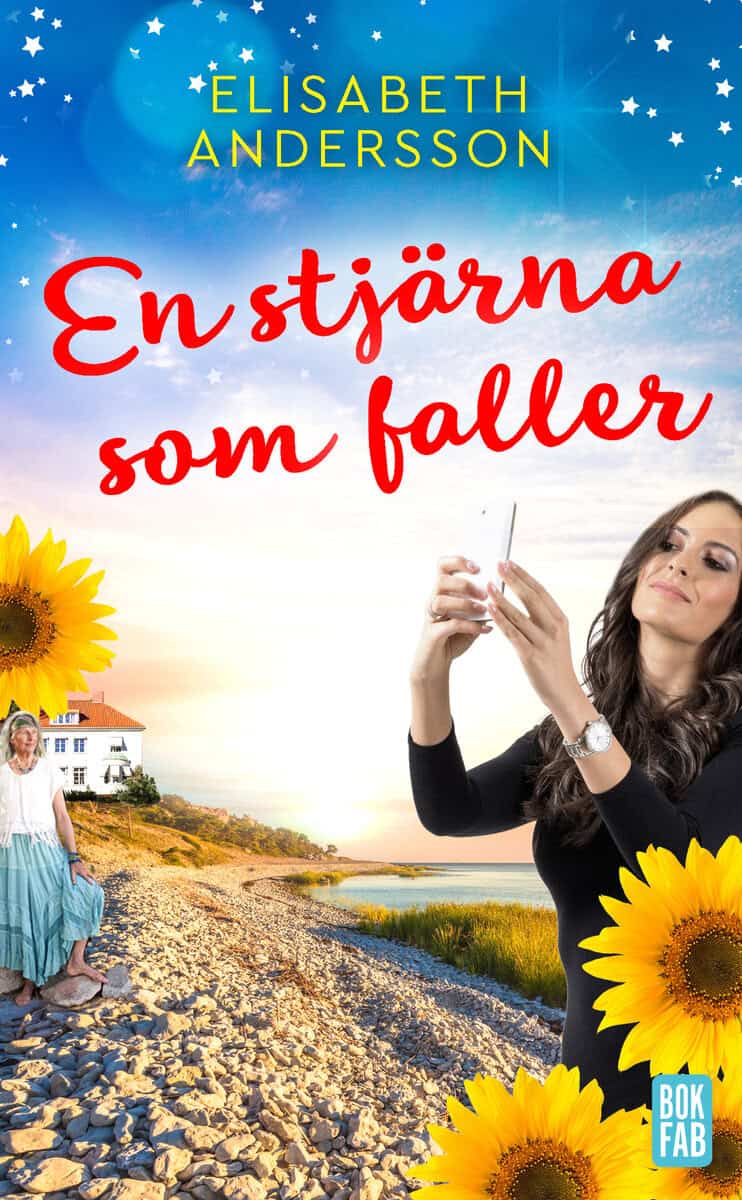 Elisabeth Andersson : En stjärna som faller