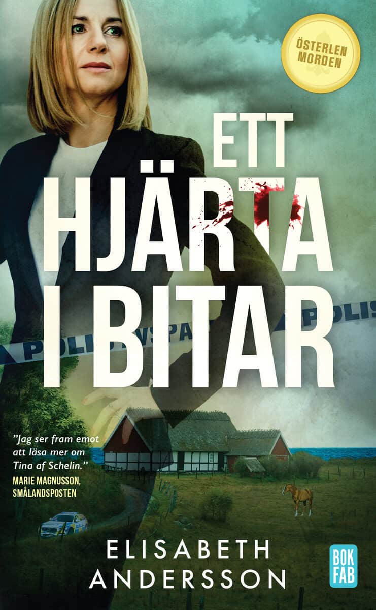 Elisabeth Andersson : Ett hjärta i bitar